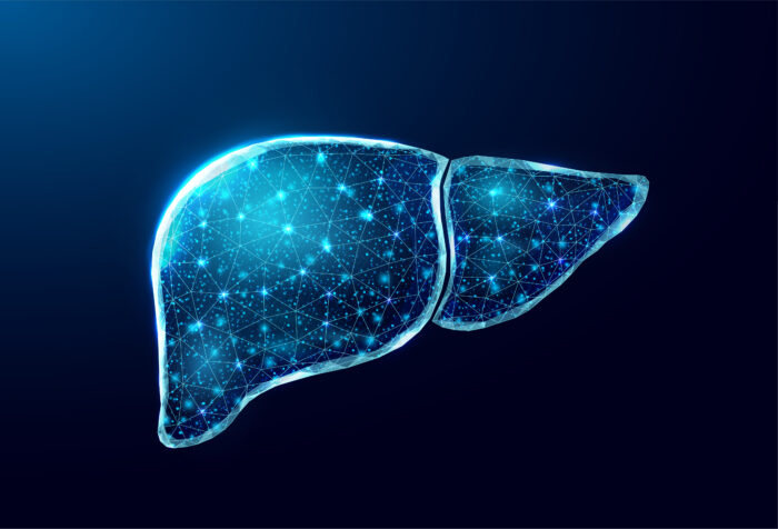 肝臓を知り、肝臓を守る｜病気と検査・治療と生活習慣の総合ガイド