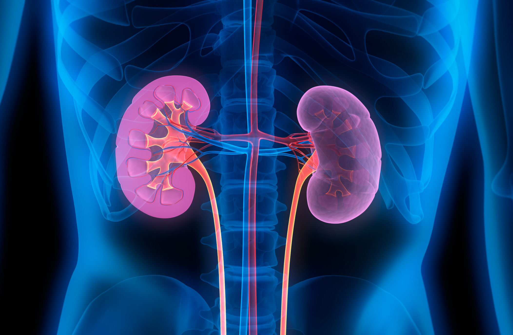 長期的な見通しは何ですか?