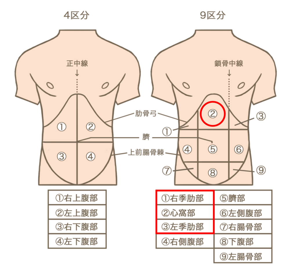 みぞおちはどこ？