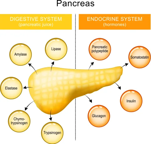 pancreatic