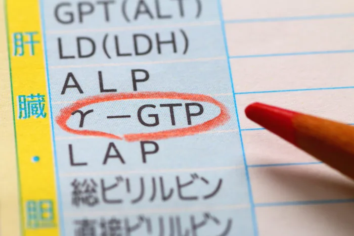 γ-GTPの基準値は？数値が高い・低い原因と肝機能との関係を解説