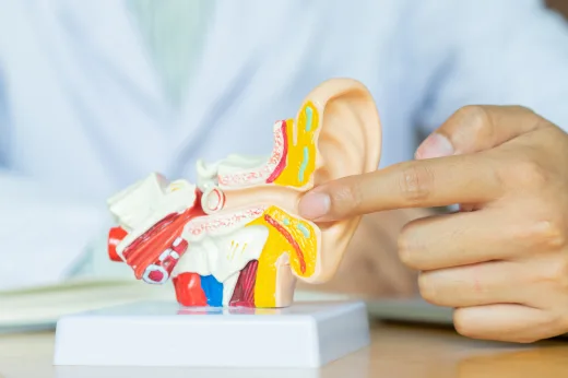 外耳炎の原因・発症リスク